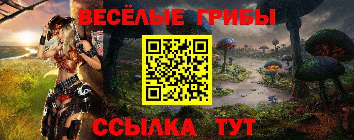 Галлюциногенные грибы Psilocybine cubensis Кольчугино